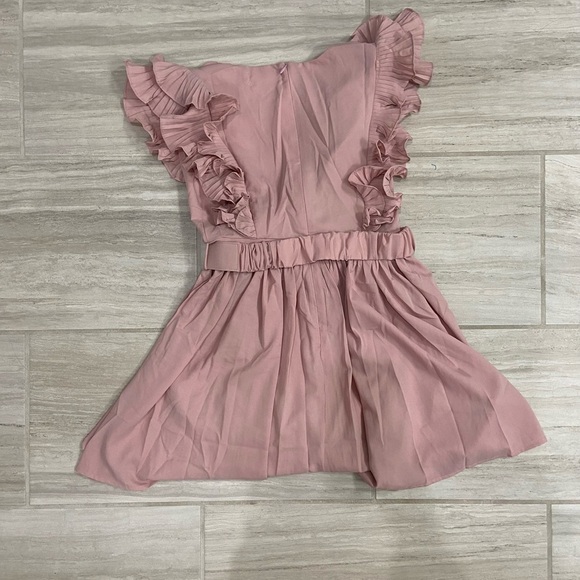 Blush Dress - Picture 4 of 5